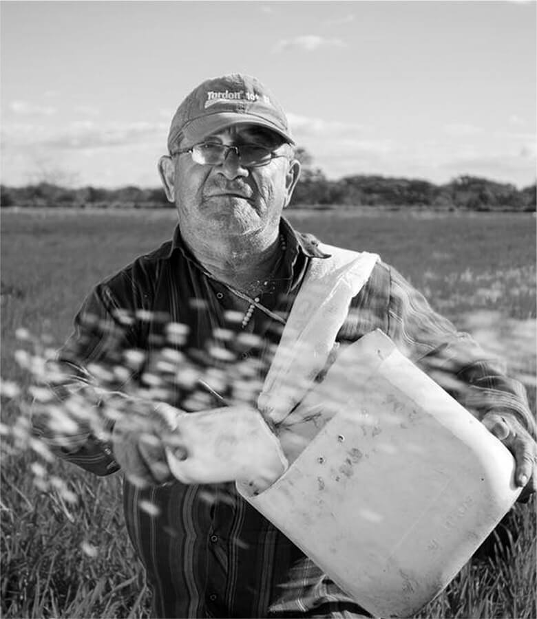 home_vegetables_company6 home_vegetables_company6